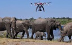 La technologie pour protéger éléphants et rhinocéros du braconnage en Afrique