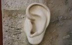 Trahi par son oreille, un cambrioleur condamné à un an ferme