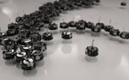 Des mini-robots inspirés des abeilles et des fourmis s'auto-organisent