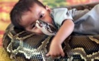 Les animaux exotiques de compagnie, une dangereuse passion au Costa Rica