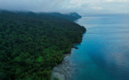 En Colombie, bataille autour d'une "station" de garde-côtes sur l'île de la Gorgone