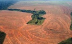 Brésil: la déforestation de l'Amazonie en hausse de 29% entre 2012 et 2013