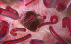 Ebola: tardive et difficile course aux traitements et vaccins