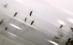 L'OMS appelle à agir pour vaincre les maladies tropicales négligées