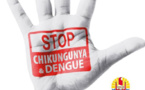 107 cas confirmés de chikungunya (400 estimés) et la dengue revient en force