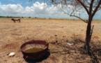 Guadeloupe: sècheresse et séquelles de la tempête Fiona causent une pénurie d'eau