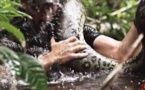 Avalé vivant par un anaconda, pour la télévision