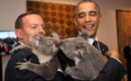 Au G20, l'Australie invente "la diplomatie du koala"