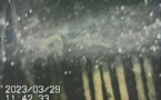 Fukushima: de nouvelles images montrent les dégâts dans un réacteur