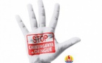 Chikungunya : l’épidémie est toujours en forte progression (11 229 cas)