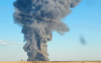 Etats-Unis: 18.000 vaches tuées dans l'explosion d'une ferme