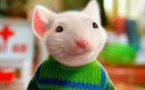 Comment "Stuart Little" a permis de retrouver un tableau hongrois disparu