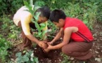L'Amérique Latine s'engage à reboiser près de 20 millions d'hectares