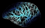 Une étude éclaire les sensations et visions ressenties juste avant de mourir
