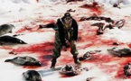Chasse aux phoques: la Fondation Bardot satisfaite de l'arrêt des aides en Norvège