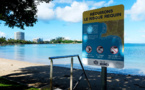 Requins en Nouvelle-Calédonie: baignade réautorisée sur une seule plage de Nouméa