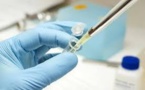 Dengue : découverte d'anticorps, susceptibles d'aider la recherche