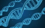 Des scientifiques dévoilent un premier "pan-génome" humain