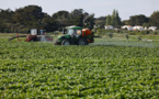 Sénat: un texte controversé pour un "choc" de compétitivité de l'agriculture
