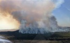 Australie: les feux de forêts ont lieu après une année historiquement chaude