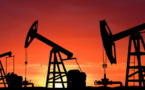 L'Irena craint que la baisse du pétrole ne gêne l'essor des énergies propres