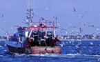 Pêche: l'UE fera le point tous les ans sur l'interdiction des rejets en mer