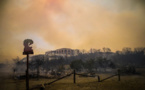 La Grèce "en guerre" contre les incendies, des milliers de touristes évacués