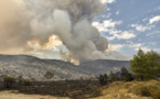 Incendies de forêt en Grèce : au moins 150.000 hectares touchés