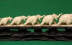 Pointée du doigt, la Chine interdit l'importation d'ivoire sculpté durant un an