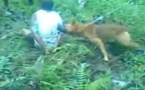 Brigades canines antistupéfiants : Fidji et la Nouvelle-Zélande coopèrent
