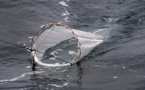 Une coopération entre marins et chercheurs pour percer les secrets du plancton océanique