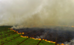 Indonésie: des incendies de tourbières provoquent des fermetures d'écoles