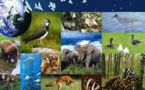 "La biodiversité est un capital à préserver, une source d'emplois"