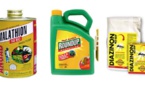 Cinq pesticides classés cancérogènes "probables" ou "possibles" par l'agence du cancer de l'OMS