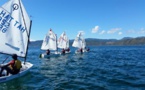 Voile – NZ Nationals Optimist : Une délégation tahitienne est à Wellington, accompagnée par Teiva Véronique.
