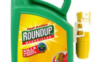 Pesticides cancérogènes "possibles": Royal contre une "vente libre" aux particuliers
