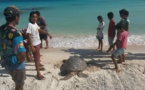 Six tortues polynésiennes sont les stars de centaines d'écoliers dans le monde