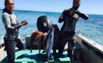 Océania de pêche sous-marine : des Polynésiens sur les podiums homme et femme
