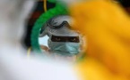 Des herbicides seraient à l'origine de la maladie "mystérieuse" au Nigeria, selon l'OMS