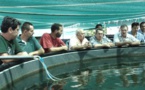 Visite de Frédéric Riveta au centre technique aquacole de Vairao et au centre Ifremer du Pacifique