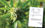 La loi cannabis dans le circuit législatif
