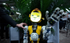 La quête au robot humanoïde ni trop humain, ni trop machine