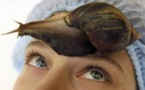 Extrait de raisin contre bave d'escargot: polémique cosmétique autour d'une publicité
