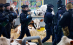 Entre heurts et annonces, journée chaotique pour Macron au Salon de l'agriculture