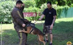 La brigade cynophile de Papeete accroît ses compétences