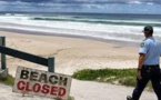 Un homme entre la vie et la mort après une attaque de requin en Australie