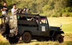 Le Sri Lanka bannit le portable dans un parc pour sauver les léopards
