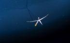 La France désigne le constructeur du premier parc éolien flottant à échelle commerciale