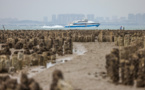 Sur une île taïwanaise, le ramassage des huîtres inquiète plus que la Chine
