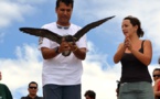 Depuis 25 ans Manu protège les oiseaux de Polynésie